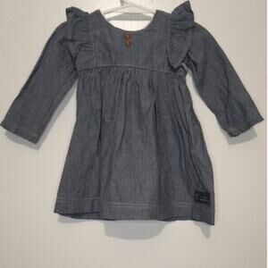 Mud Puddles Dandelions Baby Dress